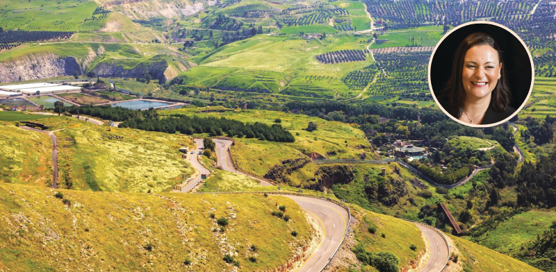Gal Naor plans Hamat Gader makeover