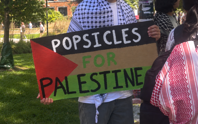 Lila Steinhardt | The Tolerance Epidemic
