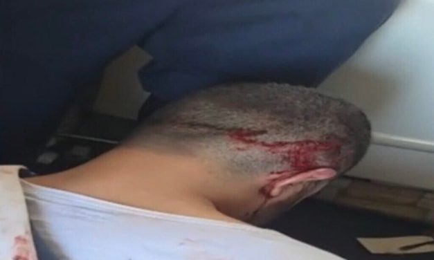 ‘Is there a doctor or pilot?’: New video shows chaos on flydubai flight after attack thwarted
