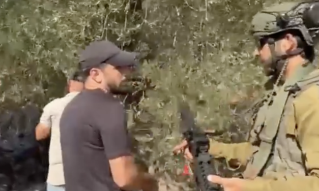 Settlers reportedly attack Palestinians in olive groves as harvest season begins
