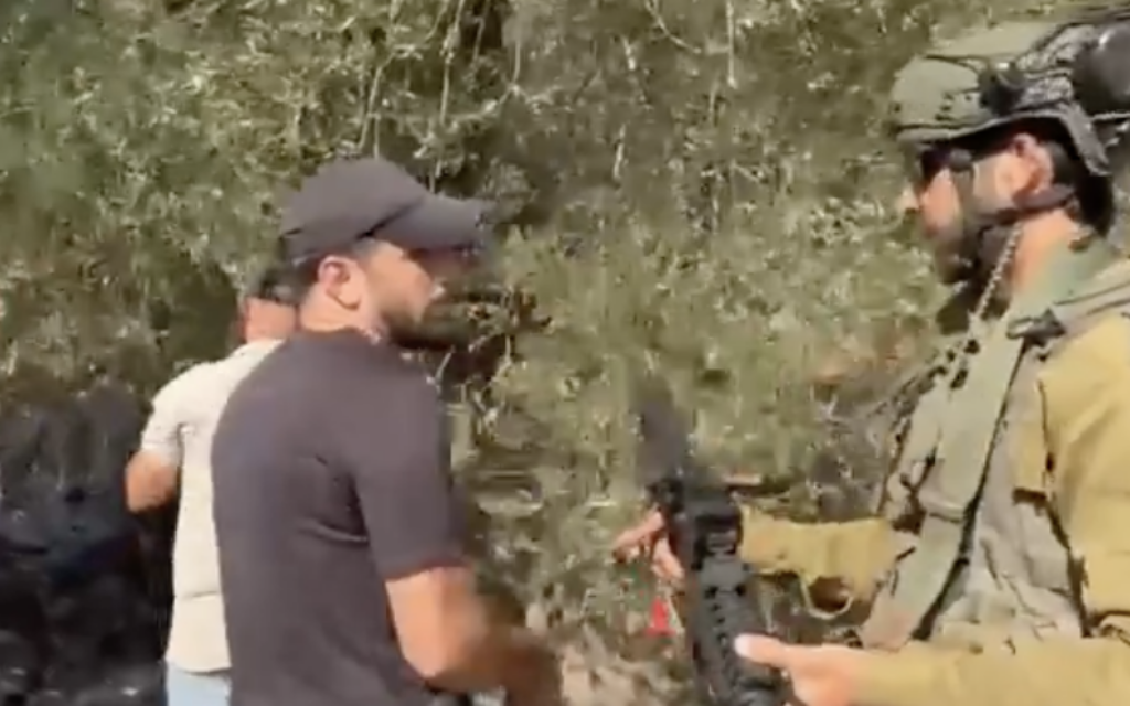 Settlers reportedly attack Palestinians in olive groves as harvest season begins