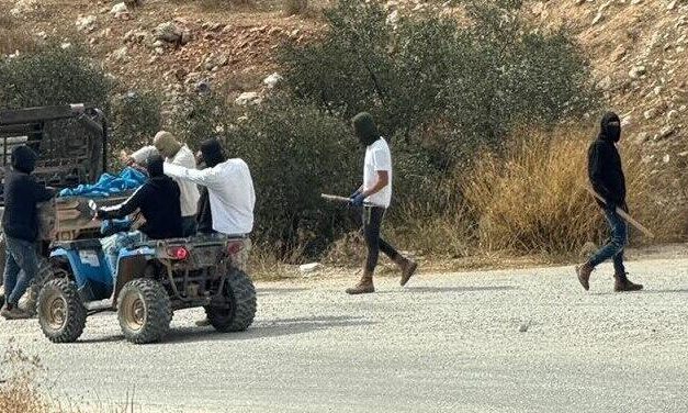 Police pass the buck, IDF can’t stop it: why settler violence goes unchecked in the West Bank