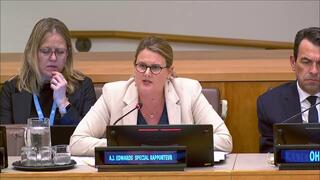 Former UN torture expert accuses colleagues of ignoring Hamas sexual violence on October 7
