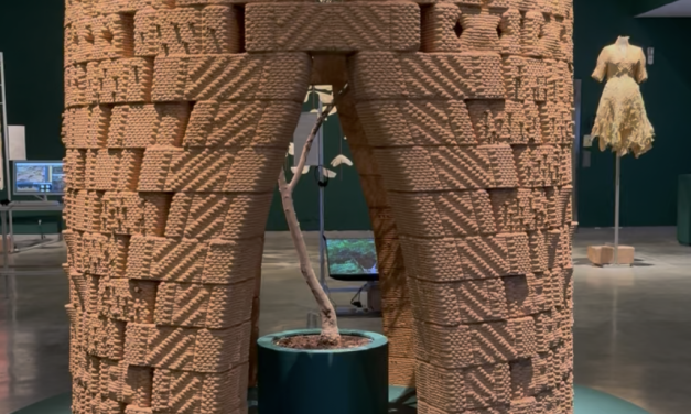 Exhibit tackles role of design in cutting waste, protecting planet