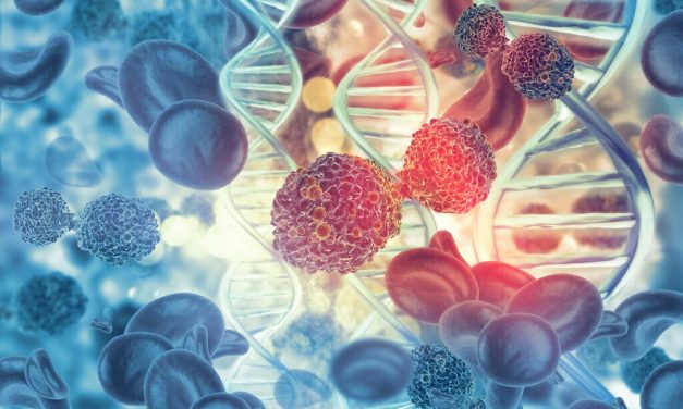 How cells survive chemo: Israeli researchers find ‘guardian proteins’ protect tumors