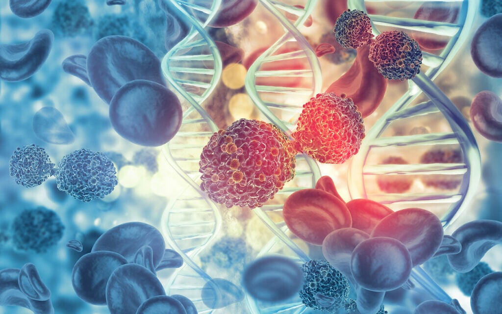 How cells survive chemo: Israeli researchers find ‘guardian proteins’ protect tumors