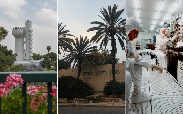 Silas Anastacio | Postdoctoral Fellowship for Brazilians at Weizmann Institute