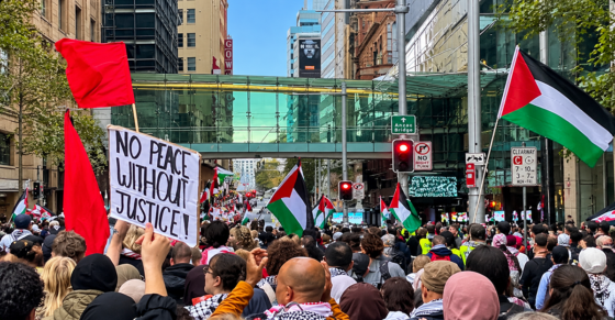 From “Free Palestine” to Zionist: Why I Changed My Mind
