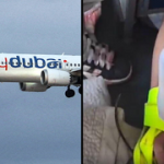 Oman grounded Flydubai co-pilot over radical views before Israel-bound attack, report says