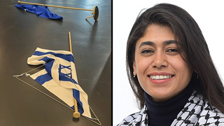 ‘Antisemitic hatred’: French MEP removes Israeli flag at Oct. 7 memorial exhibit, drawing EU probe