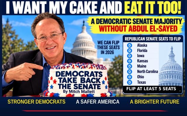 Mitch Mallett | I Want My Cake and Eat It Too: A Democratic Senate Without Abdul El-Sayed